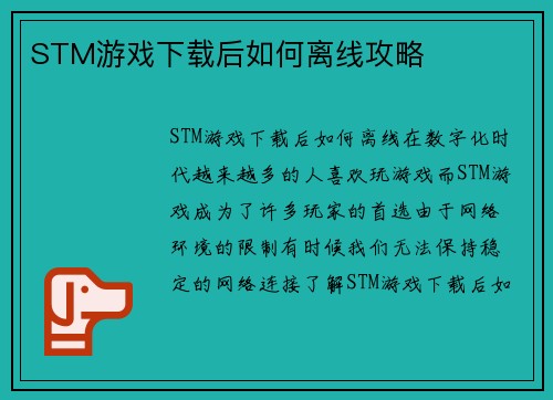 STM游戏下载后如何离线攻略