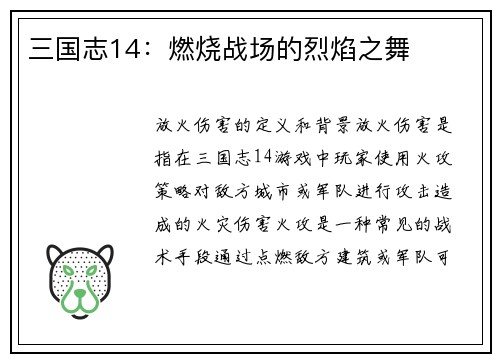 三国志14：燃烧战场的烈焰之舞